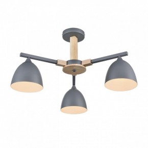 Люстра на штанге Lumion Colange 8096/3C в Соликамске - solikamsk.mebel24.online | фото 3