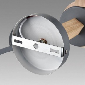 Люстра на штанге Lumion Colange 8096/3C в Соликамске - solikamsk.mebel24.online | фото 6