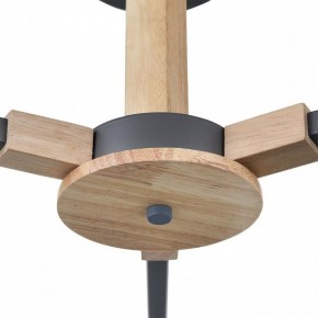 Люстра на штанге Lumion Colange 8096/3C в Соликамске - solikamsk.mebel24.online | фото 7