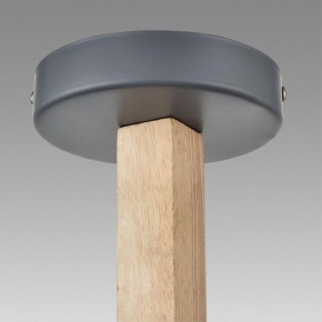 Люстра на штанге Lumion Colange 8096/3C в Соликамске - solikamsk.mebel24.online | фото 9