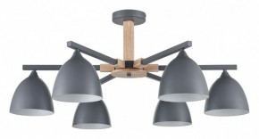 Люстра на штанге Lumion Colange 8096/6C в Соликамске - solikamsk.mebel24.online | фото
