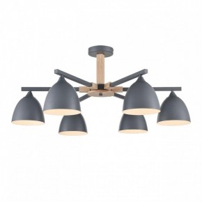 Люстра на штанге Lumion Colange 8096/6C в Соликамске - solikamsk.mebel24.online | фото 2