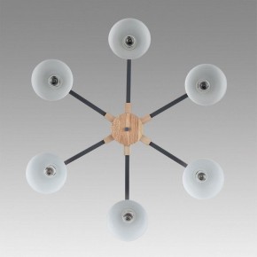 Люстра на штанге Lumion Colange 8096/6C в Соликамске - solikamsk.mebel24.online | фото 4