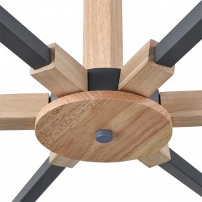 Люстра на штанге Lumion Colange 8096/6C в Соликамске - solikamsk.mebel24.online | фото 7