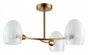Люстра на штанге Lumion Kendall 6514/3C в Соликамске - solikamsk.mebel24.online | фото