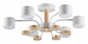 Люстра на штанге Lumion Rondo 8231/6C в Соликамске - solikamsk.mebel24.online | фото
