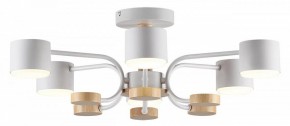 Люстра на штанге Lumion Rondo 8231/6C в Соликамске - solikamsk.mebel24.online | фото 2