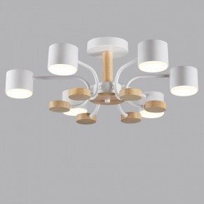 Люстра на штанге Lumion Rondo 8231/6C в Соликамске - solikamsk.mebel24.online | фото 4