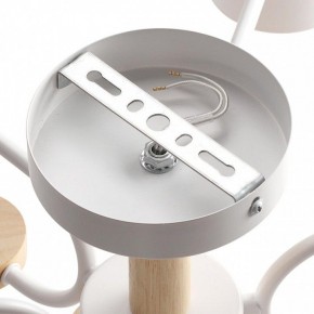 Люстра на штанге Lumion Rondo 8231/6C в Соликамске - solikamsk.mebel24.online | фото 6