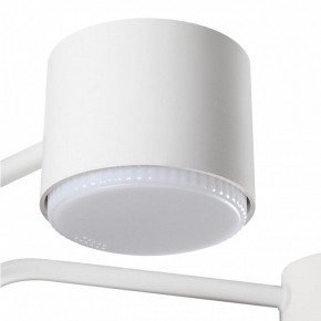 Люстра на штанге Lumion Rondo 8231/6C в Соликамске - solikamsk.mebel24.online | фото 7