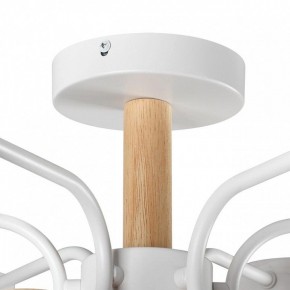 Люстра на штанге Lumion Rondo 8231/6C в Соликамске - solikamsk.mebel24.online | фото 8