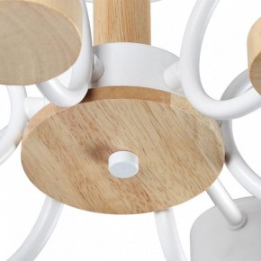 Люстра на штанге Lumion Rondo 8231/6C в Соликамске - solikamsk.mebel24.online | фото 9