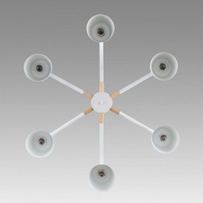 Люстра на штанге Lumion Rosalina 8097/6C в Соликамске - solikamsk.mebel24.online | фото 4