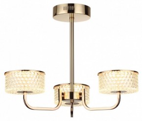 Люстра на штанге Lumion Venice 6579/40CL в Соликамске - solikamsk.mebel24.online | фото 5