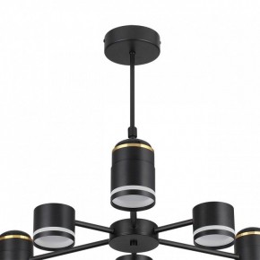 Люстра на штанге Lumion Virsava 8234/6C в Соликамске - solikamsk.mebel24.online | фото 5