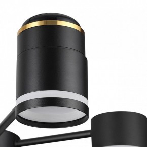 Люстра на штанге Lumion Virsava 8234/6C в Соликамске - solikamsk.mebel24.online | фото 8