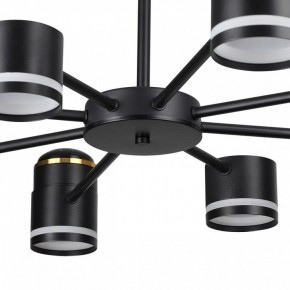 Люстра на штанге Lumion Virsava 8234/8C в Соликамске - solikamsk.mebel24.online | фото 10