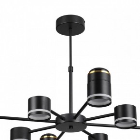 Люстра на штанге Lumion Virsava 8234/8C в Соликамске - solikamsk.mebel24.online | фото 5