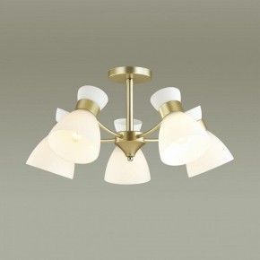 Люстра на штанге Lumion Wilma 4535/5C в Соликамске - solikamsk.mebel24.online | фото 3