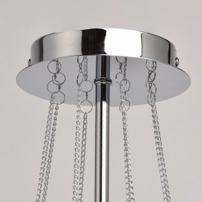 Люстра на штанге MW-Light Федерика 84 684010305 в Соликамске - solikamsk.mebel24.online | фото 13