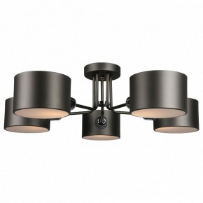 Люстра на штанге Omnilux Lisera OML-54507-05 в Соликамске - solikamsk.mebel24.online | фото 2