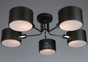 Люстра на штанге Omnilux Lisera OML-54507-05 в Соликамске - solikamsk.mebel24.online | фото 3