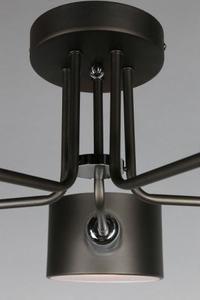 Люстра на штанге Omnilux Lisera OML-54507-05 в Соликамске - solikamsk.mebel24.online | фото 6