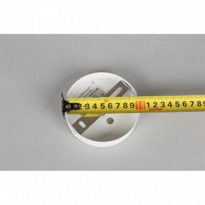 Люстра на штанге Omnilux Mearino OML-29717-08 в Соликамске - solikamsk.mebel24.online | фото 10