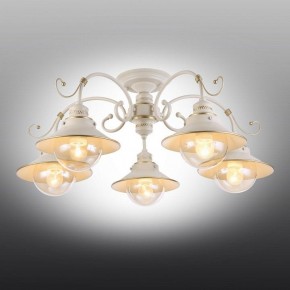 Люстра на штанге Omnilux Torri OML-50807-05 в Соликамске - solikamsk.mebel24.online | фото 2