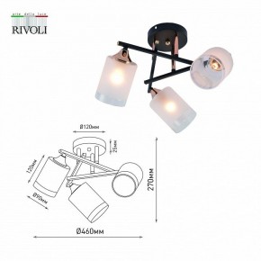 Люстра на штанге Rivoli Fiona Б0059259 в Соликамске - solikamsk.mebel24.online | фото