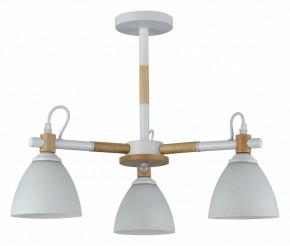 Люстра на штанге Rivoli Louise Б0060982 в Соликамске - solikamsk.mebel24.online | фото