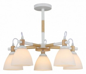Люстра на штанге Rivoli Louise Б0060983 в Соликамске - solikamsk.mebel24.online | фото 2