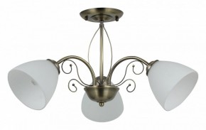 Люстра на штанге Rivoli Sue Б0060985 в Соликамске - solikamsk.mebel24.online | фото