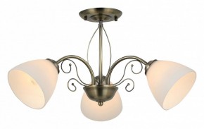 Люстра на штанге Rivoli Sue Б0060985 в Соликамске - solikamsk.mebel24.online | фото 2