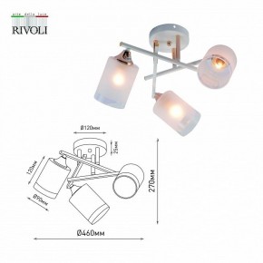 Люстра на штанге Rivoli Tammy Б0059258 в Соликамске - solikamsk.mebel24.online | фото