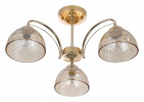 Люстра на штанге Rivoli Terri Б0060988 в Соликамске - solikamsk.mebel24.online | фото 2