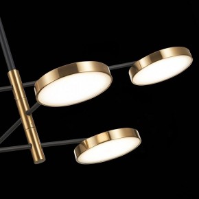 Люстра на штанге ST-Luce Farone SL1605.413.06 в Соликамске - solikamsk.mebel24.online | фото 7