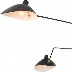 Люстра на штанге ST-Luce Spruzzo SL305.402.03 в Соликамске - solikamsk.mebel24.online | фото 2