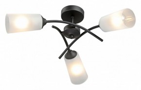 Люстра на штанге Vitaluce V2850 V2850-1/3PL в Соликамске - solikamsk.mebel24.online | фото 2