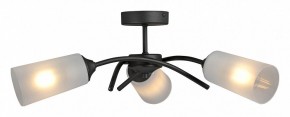 Люстра на штанге Vitaluce V2850 V2850-1/3PL в Соликамске - solikamsk.mebel24.online | фото 3
