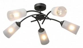 Люстра на штанге Vitaluce V2850 V2850-1/5PL в Соликамске - solikamsk.mebel24.online | фото 2
