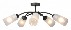 Люстра на штанге Vitaluce V2850 V2850-1/5PL в Соликамске - solikamsk.mebel24.online | фото 3