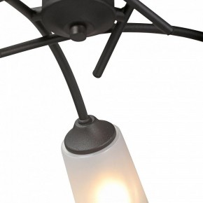 Люстра на штанге Vitaluce V2850 V2850-1/5PL в Соликамске - solikamsk.mebel24.online | фото 6