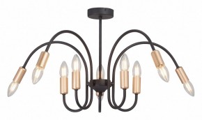 Люстра на штанге Vitaluce V3026 V3026-1/10PL в Соликамске - solikamsk.mebel24.online | фото 2