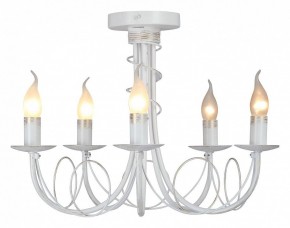 Люстра на штанге Vitaluce V3035 V3035-0/5PL в Соликамске - solikamsk.mebel24.online | фото 2
