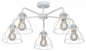 Люстра на штанге Vitaluce V3102 V3102-0/5PL в Соликамске - solikamsk.mebel24.online | фото