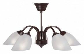 Люстра на штанге Vitaluce V3335 V3335-7/5PL в Соликамске - solikamsk.mebel24.online | фото