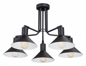 Люстра на штанге Vitaluce V4809 V4809-1/5PL в Соликамске - solikamsk.mebel24.online | фото