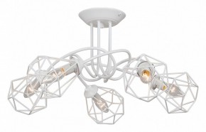 Люстра на штанге Vitaluce  V4930-0/5PL в Соликамске - solikamsk.mebel24.online | фото