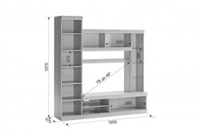 МАКСИ К1 Стенка для гостиной в Соликамске - solikamsk.mebel24.online | фото 2